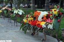 Bakı parklarında Gül bayramı keçirilir - FOTOSESSİYA